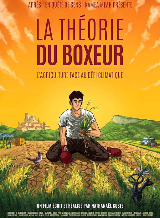 La Théorie du Boxeur