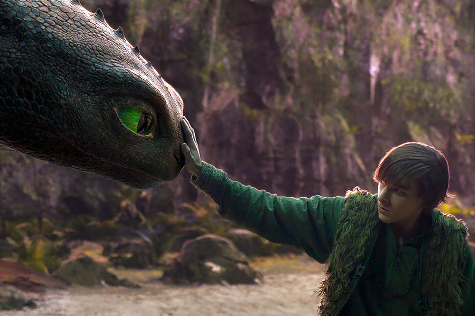 Dragons